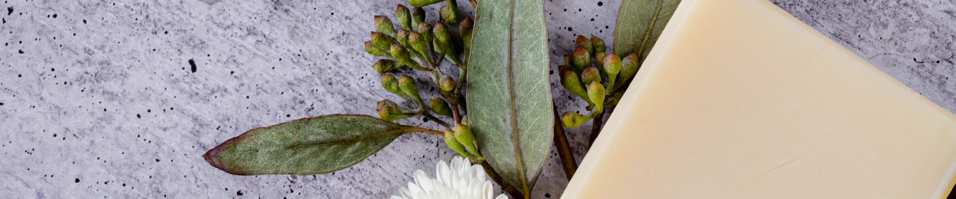 Close up of Pure Olive Oil Soap and Flowers