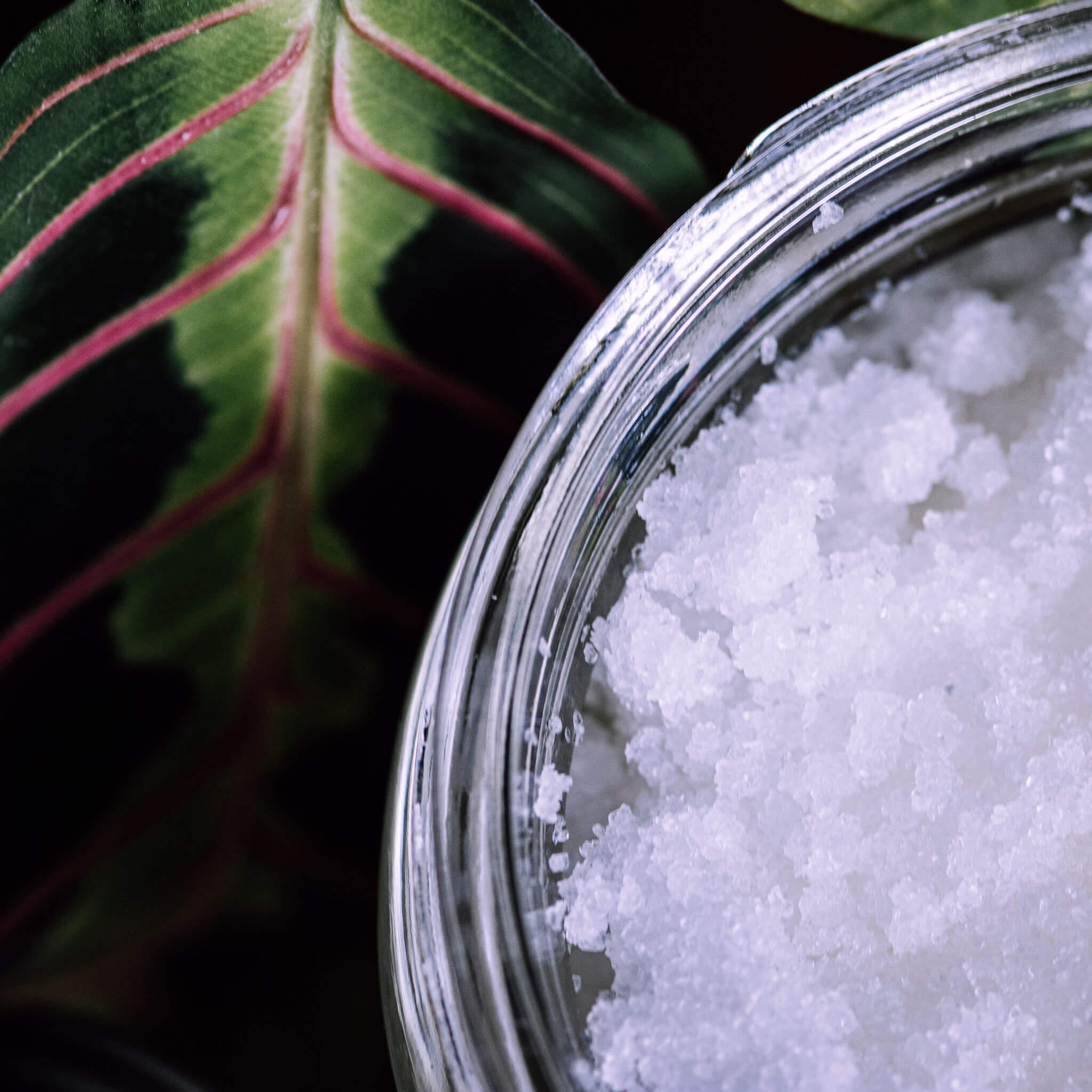 An open jar of Peppermint Salt Scrub next to a colorful leaf.